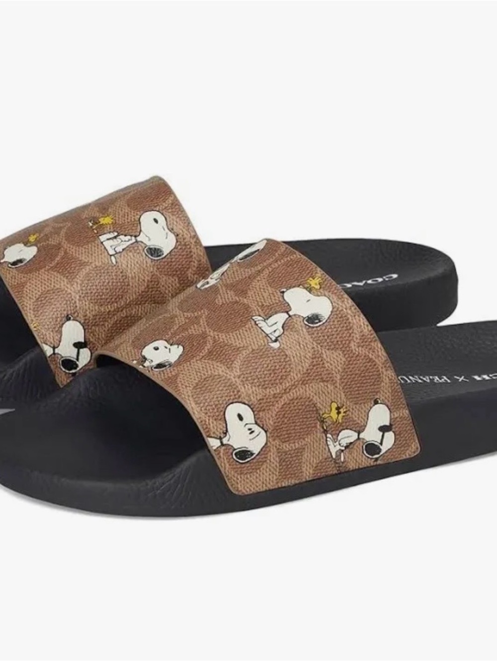 Coach Brown Logo Snoopy Print Slide Sandals
